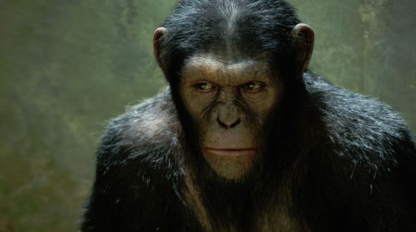 Director Rupert Wyatt Could Be Leaving 'Dawn of the Planet of the Apes' 1
