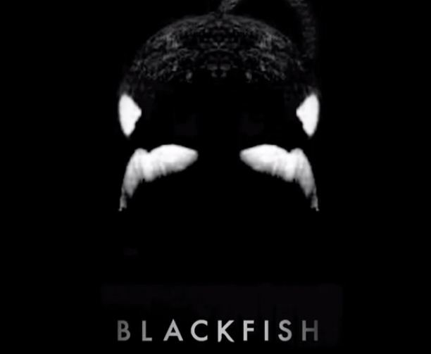 ‘BlackFish’ Trailer