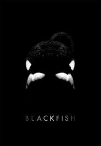 BLACKFISH Review