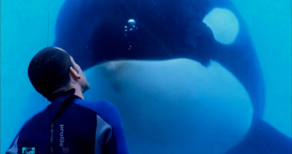 BLACKFISH Causes Change in Plot to Pixar’s FINDING DORY