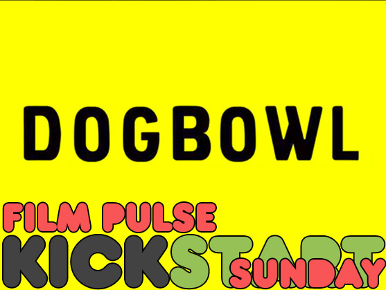 Kickstart Sunday: DOG BOWL